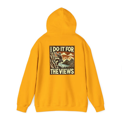 "Here for the views" Hoodie