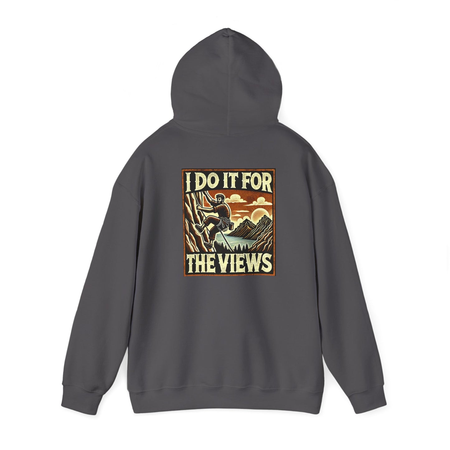 "Here for the views" Hoodie